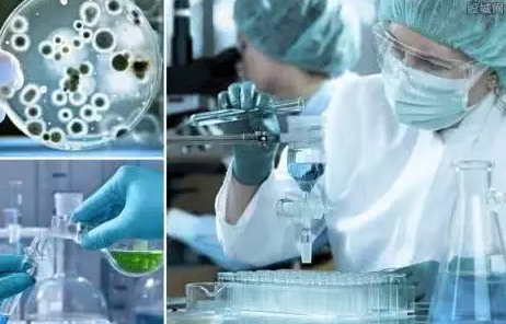 1502757778865028316.png blob.png