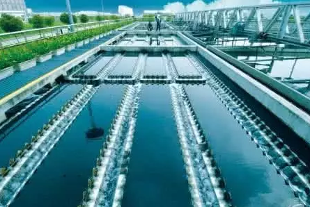 1502757765339040705.png blob.png